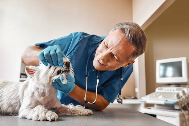 Best Emergency Gum Treatment in Linthicum, MD