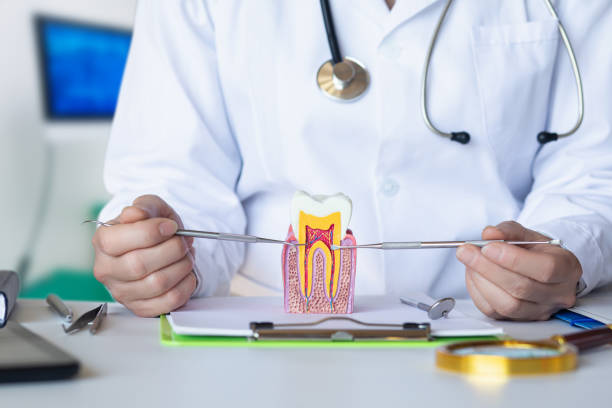 Best 24-Hour Emergency Dentist in Linthicum, MD